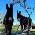 Hotel Miranda Do Douro Отель Миранда-ду-Дору