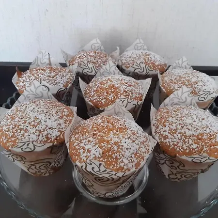 D Joao Miranda do Douro