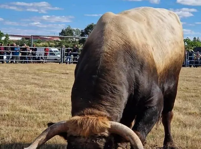 Hotel Miranda Do Douro Hotel Miranda do Douro