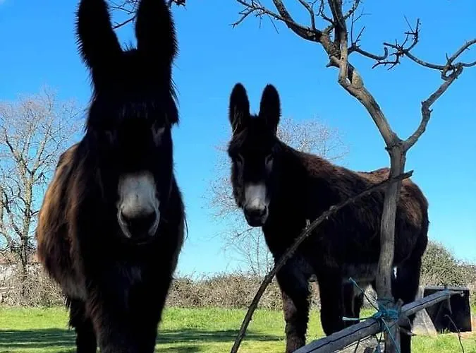 Hotel Miranda Do Douro Hotel Miranda do Douro